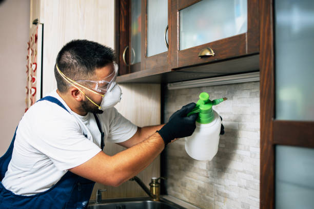 Pell City, AL Pest Control Company