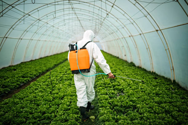 Best Pest Control Near Me  in Pell City, AL