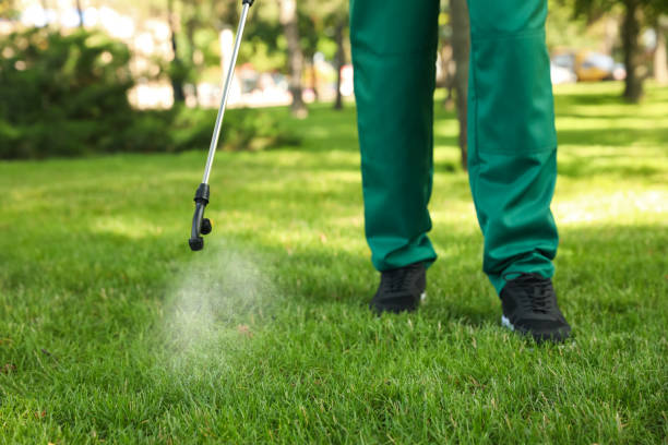 Best Commercial Pest Control Services  in Pell City, AL
