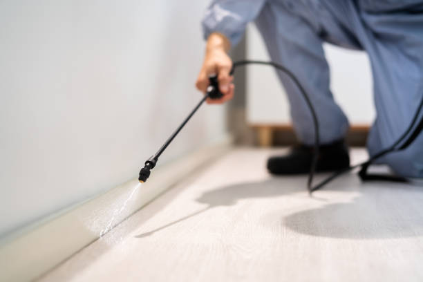 Pest Control Cost in Pell City, AL