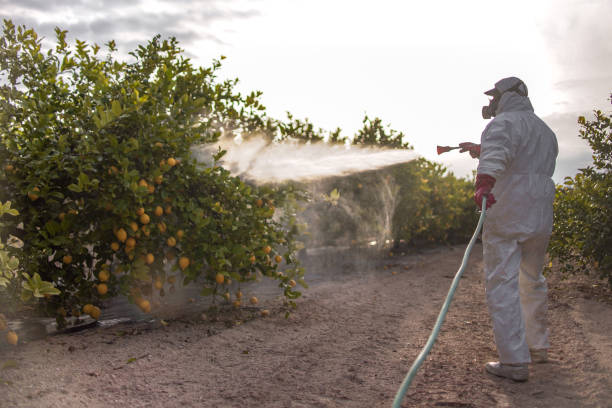 Best Local Pest Control Services  in Pell City, AL