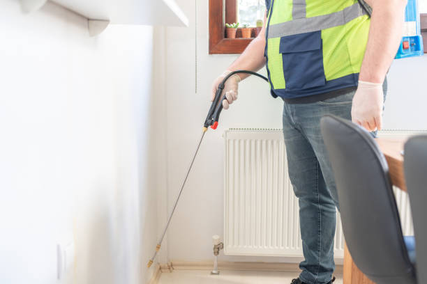 Best Affordable Pest Control Services  in Pell City, AL