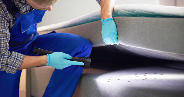 Best Pest Removal Services  in Pell City, AL
