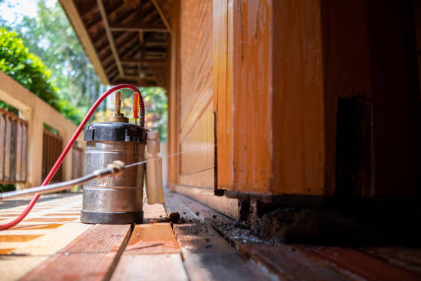 Best Best Pest Control Companies  in Pell City, AL