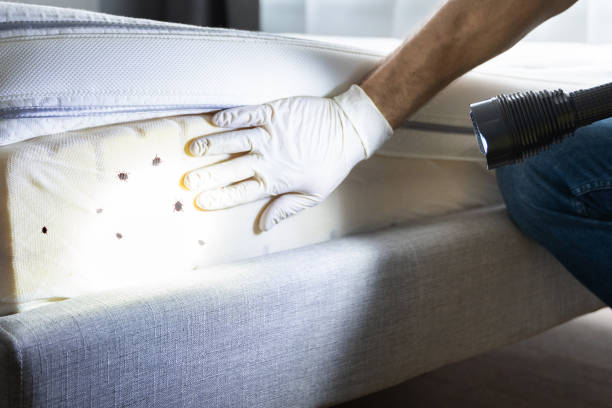 Best Cockroach Control Services  in Pell City, AL