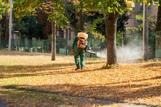 Best Flea Control Services  in Pell City, AL