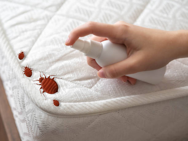 Best Residential Pest Control  in Pell City, AL