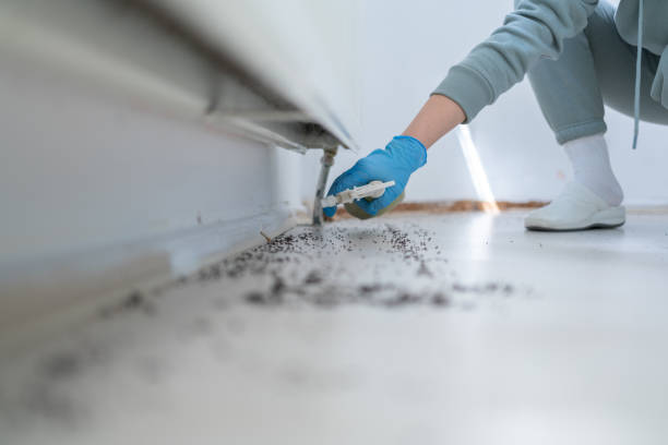 Best Pest Inspection Near Me  in Pell City, AL
