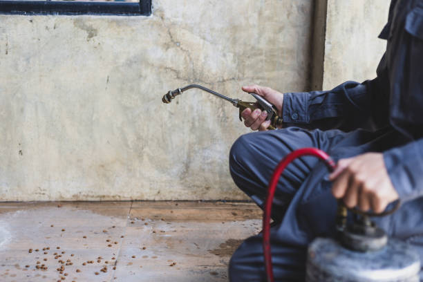 Best Pest Prevention Services  in Pell City, AL